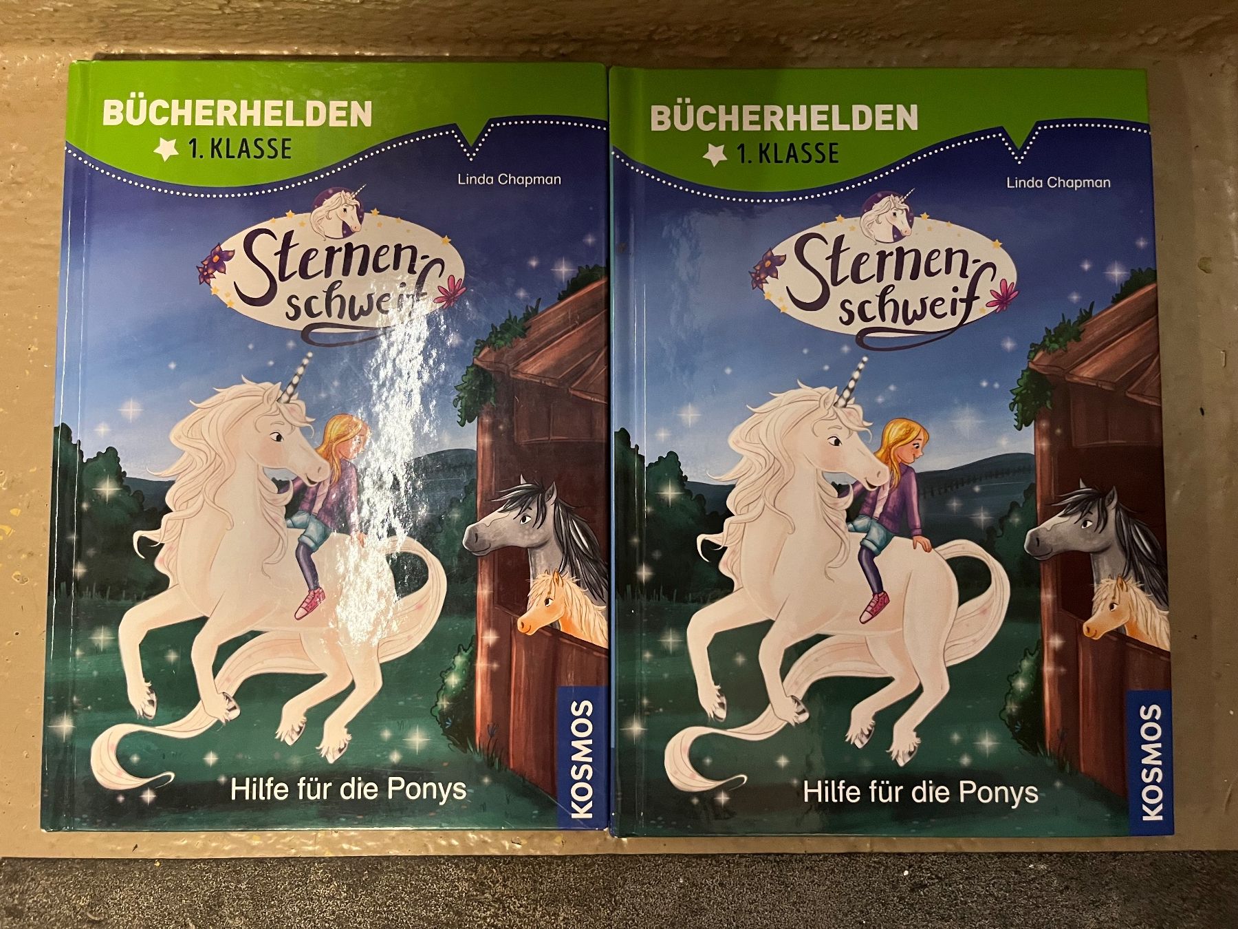 Libri: Leselöwen 1. Klasse: 4 Bücher – Usato da Birmensdorf ZH venduto da linso699