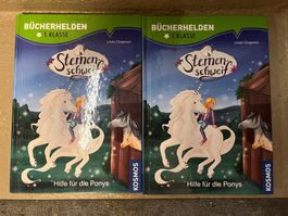 Leselöwen 1. Klasse: 4 Bücher