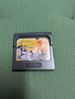 Cheese cat astrophe Sega game gear