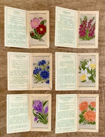 30er - Antike Seide Sammelbilder BOTANIK aus England Blumen