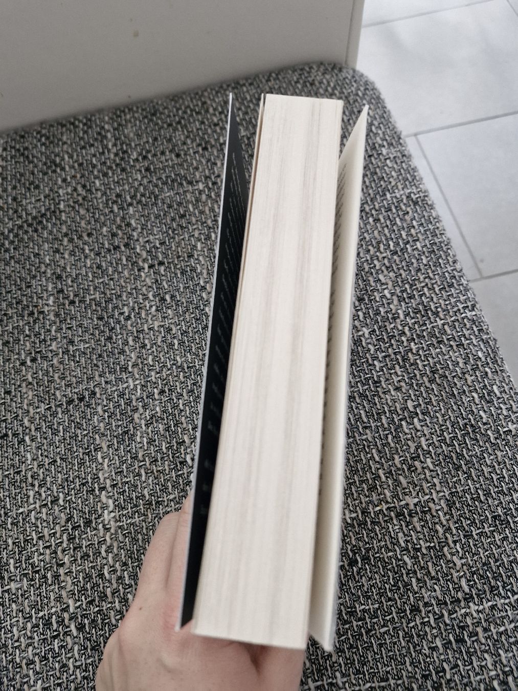 Libri: verkaufe das Buch " Mimik " – Nuovo (secondo la descrizione) da Boswil venduto da mir_z8w2 2