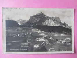 Alte Ansichtskarte:  Wildhaus mit Schaftberg 1923