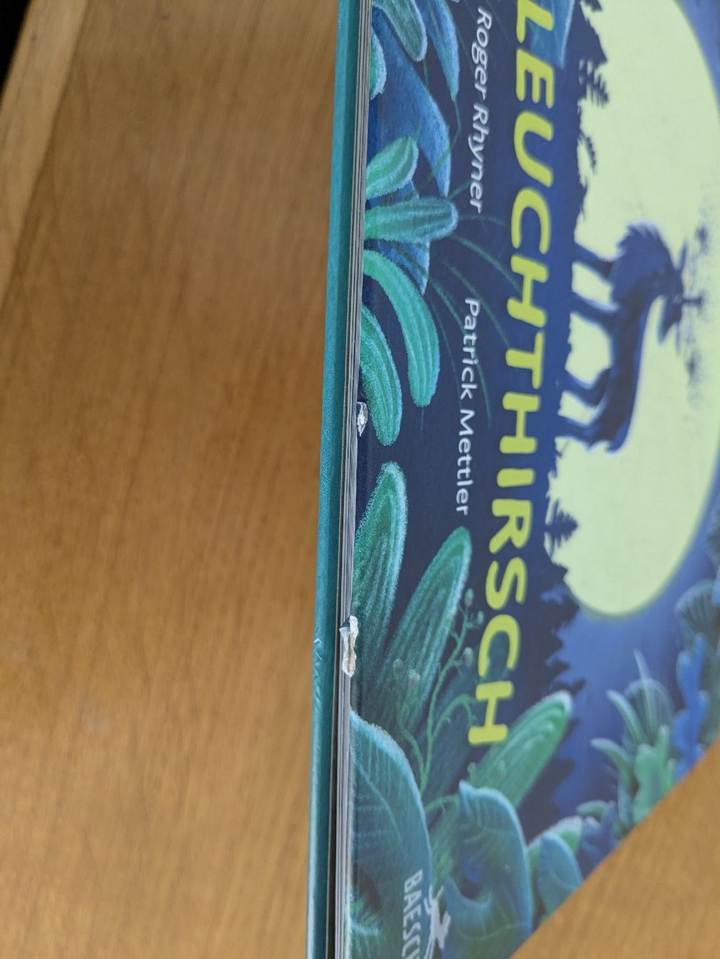 Libri: LEO LEUCHTHIRSCH - Roger Rhyner, Patrick Mettler – Usato da Wohlen AG venduto da merkur0300 1