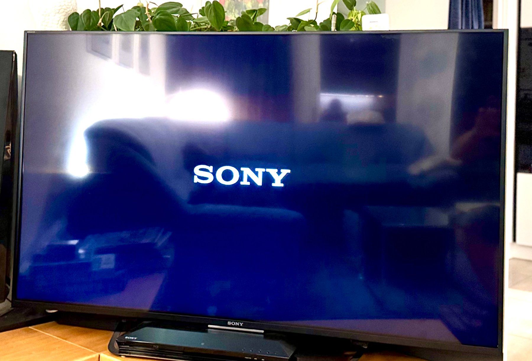 Televisori: SONY TV 55 Zoll – Usato da Horgen venduto da 4955