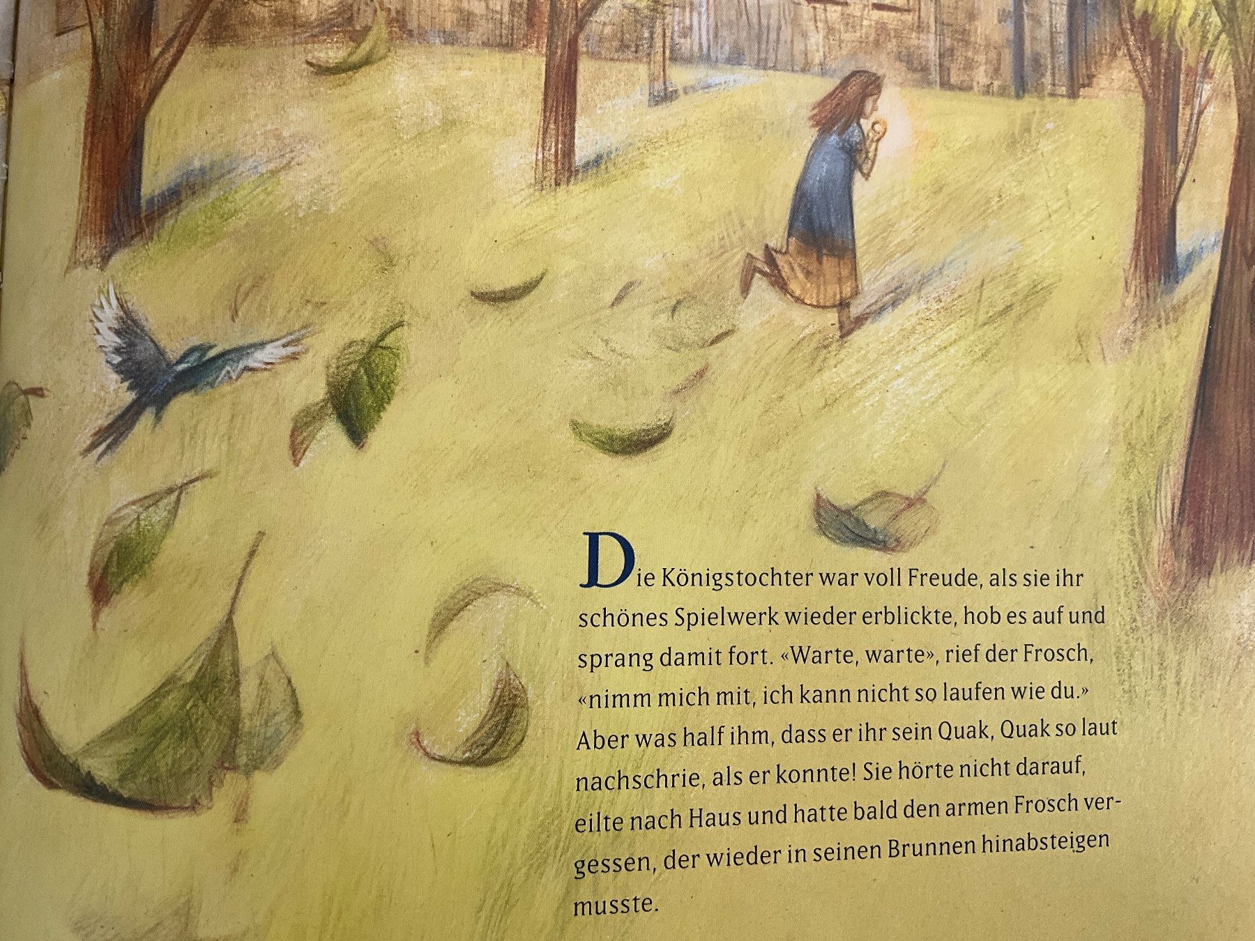 Libri: Der Froschhönig Brüder Grimm – Usato da Avenches venduto da Lactobacille 2