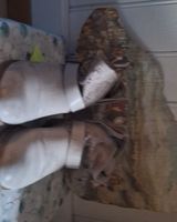 Elegante beige fake Lederstiefel mit Lochmuster, Grösse 40