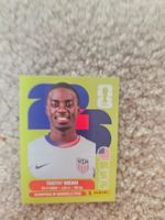 Carte Panini WM 2026