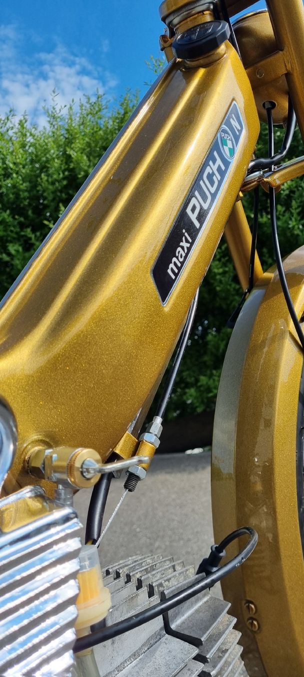 Puch Mofas: Puch Maxi N Neuaufbau Candy gold – Gebraucht aus Weinfelden von Vwaudi90 4