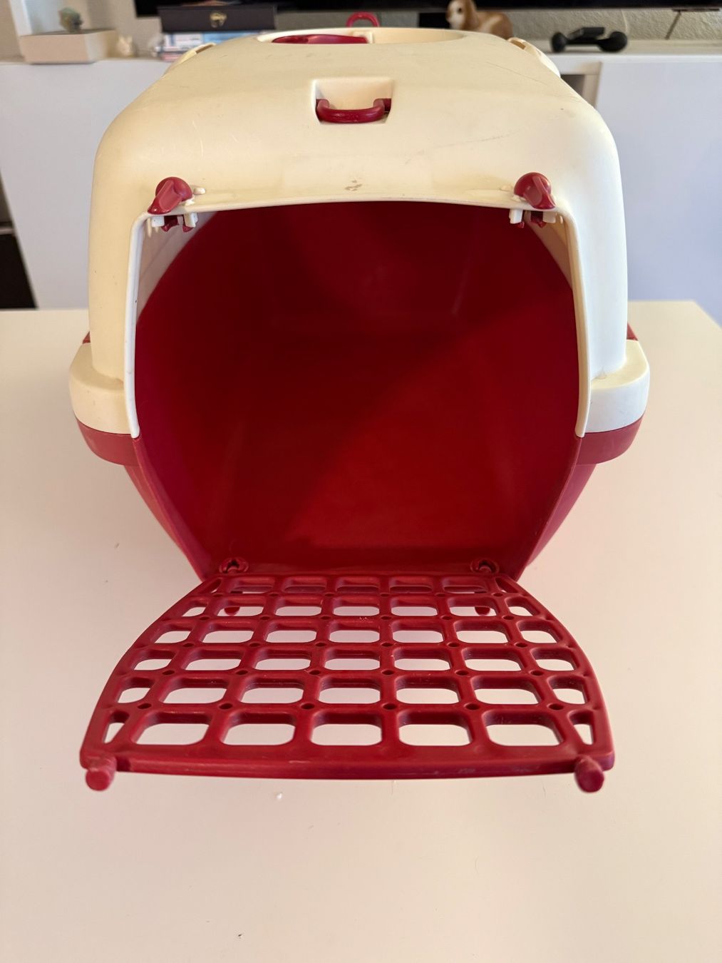Gabbie, trasporto & Sicurezza: Transportbox – Usato da Olten venduto da jsc_trq6 2