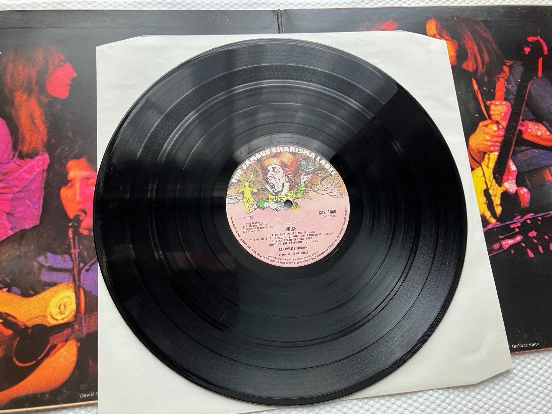 Dischi in vinile: Capability Brown – Usato da Aarwangen venduto da Jukebox3 4