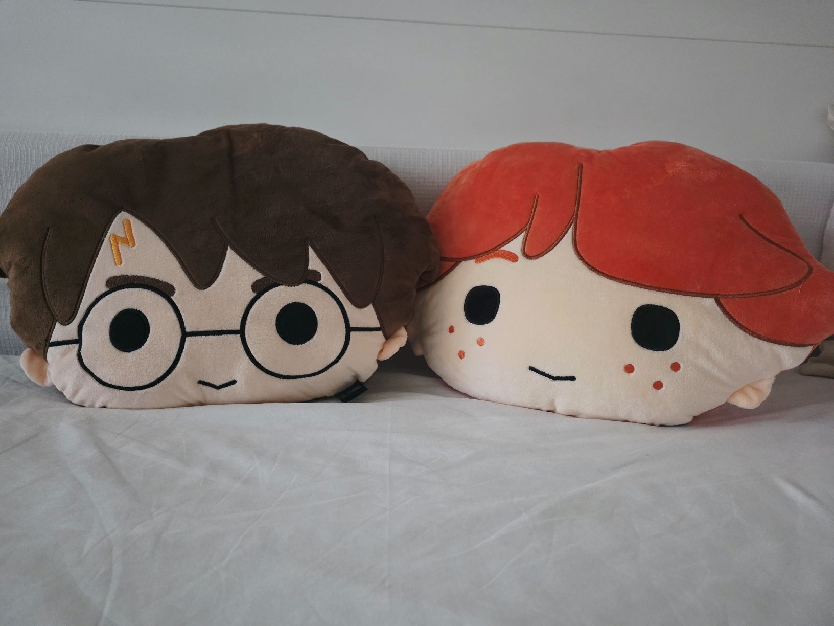 Cuscini: Coppia Cuscini Decorativi Harry Potter + Ron Weasley – Usato da Porza venduto da fra_c8qj 5