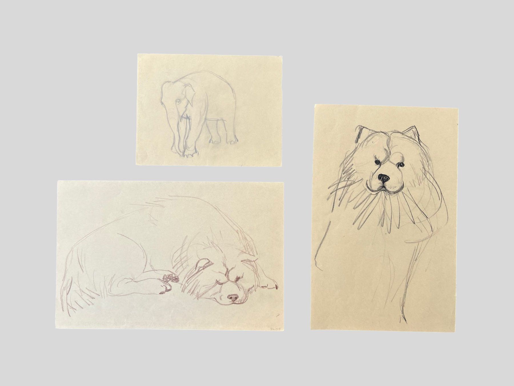 Tableaux: AB 1.- / 3 Tierstudien – D'occasion à Wohlenschwil par Amadeus-Auctions