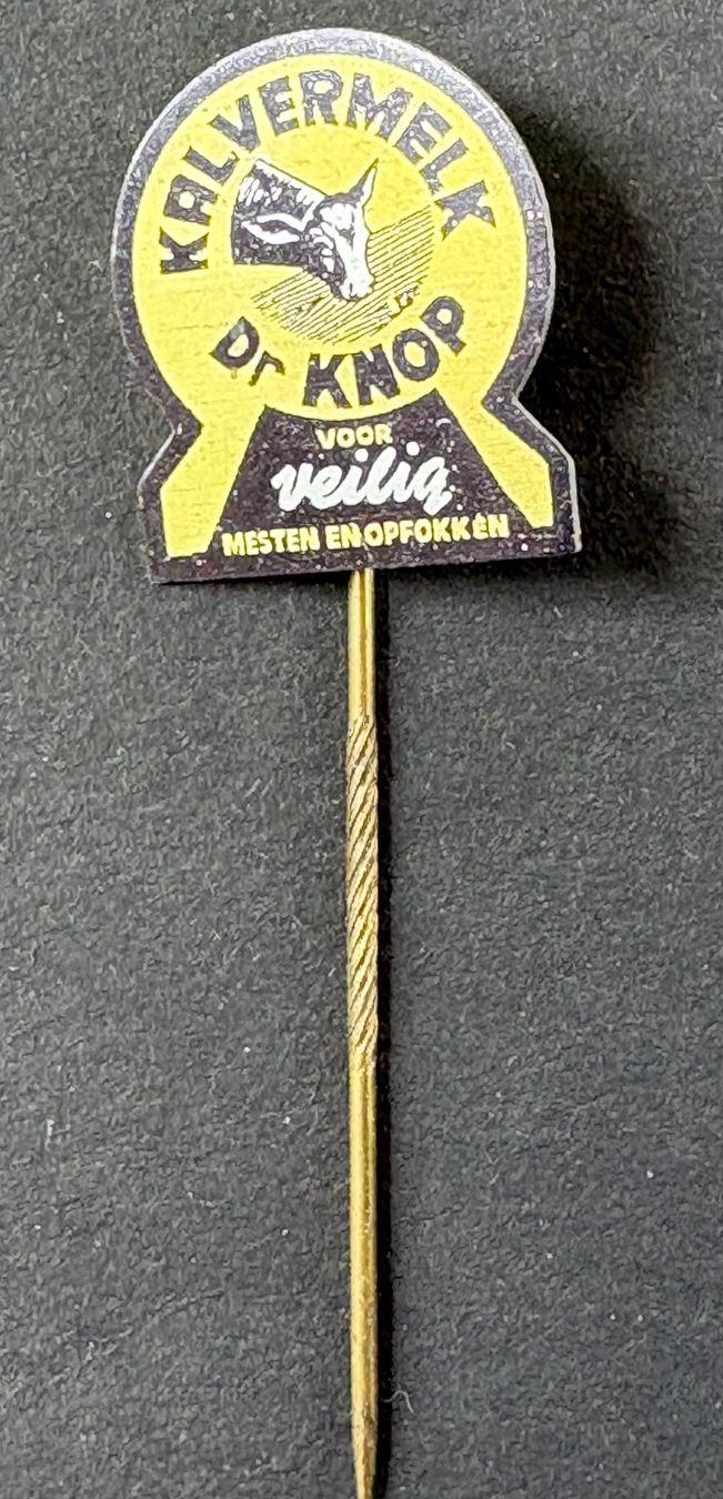 Placchette & Badge: VINTAGE ANSTECKNADEL – Usato da Ostermundigen venduto da wini63