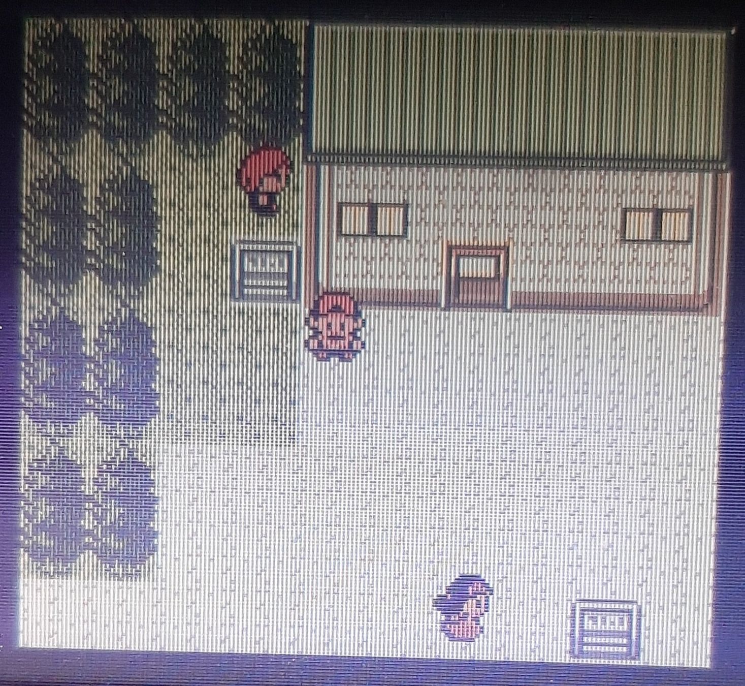 Nintendo Giochi: Pokemon Kristall – Usato da urdorf venduto da Boo24 6