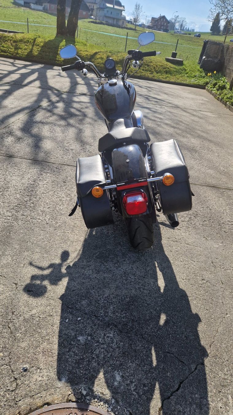 Harley-Davidson Chopper: Harley-Davidson XL883L – Usato da Neuenkirch venduto da Wickif 2