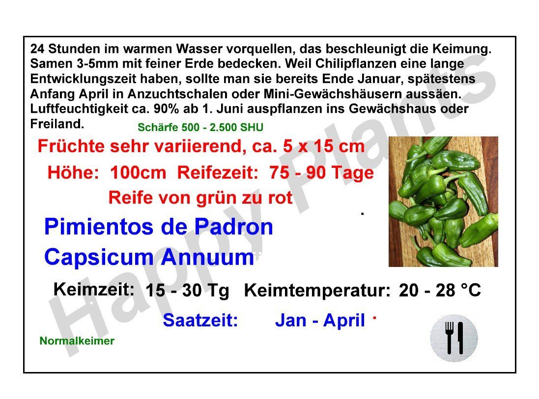 Pflanzen & Samen: Pimientos de Padron - Capsicum annuum - 20 Samen – Neu und originalverpackt aus Sumiswald von Cham14559 2