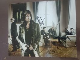 Gotthard - 20x25cm - persönlich gesammelt