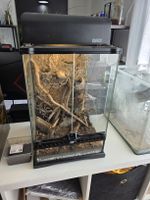 Terrarium von Exo Terra mit Dekoration und Beleuchtung