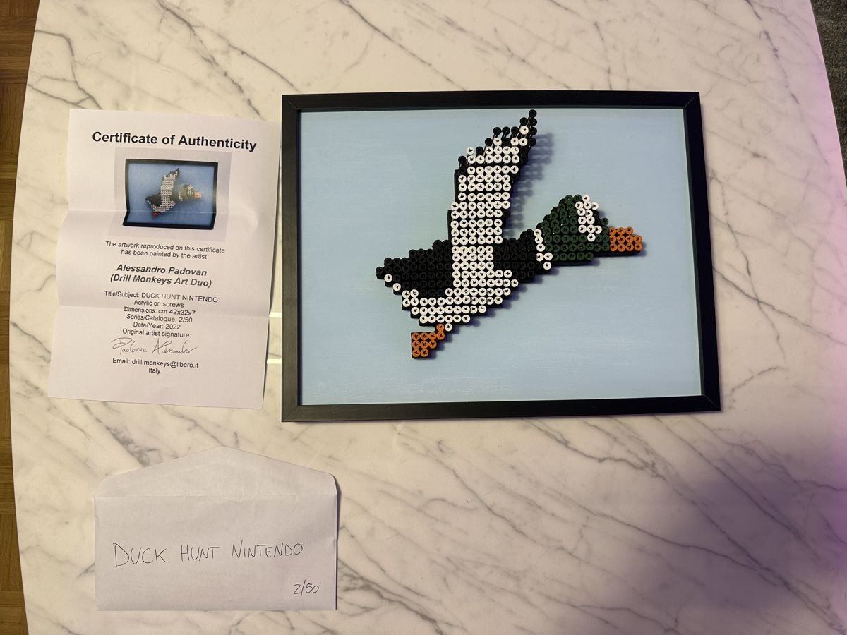 Giochi: Duck hunt alessandro padovan – Usato da Taverne venduto da Niko-Bellic