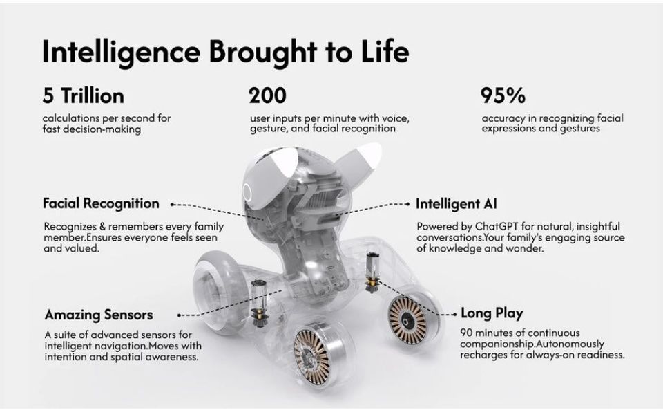 Giocattoli: Loona smart Toy Robot Einzelstück neue Version Chat GPT – Usato da Grenchen venduto da Jimbo3743 6