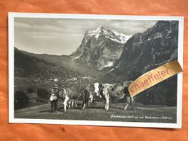 Grindelwald mit Wetterhorn, Vintage Karte!