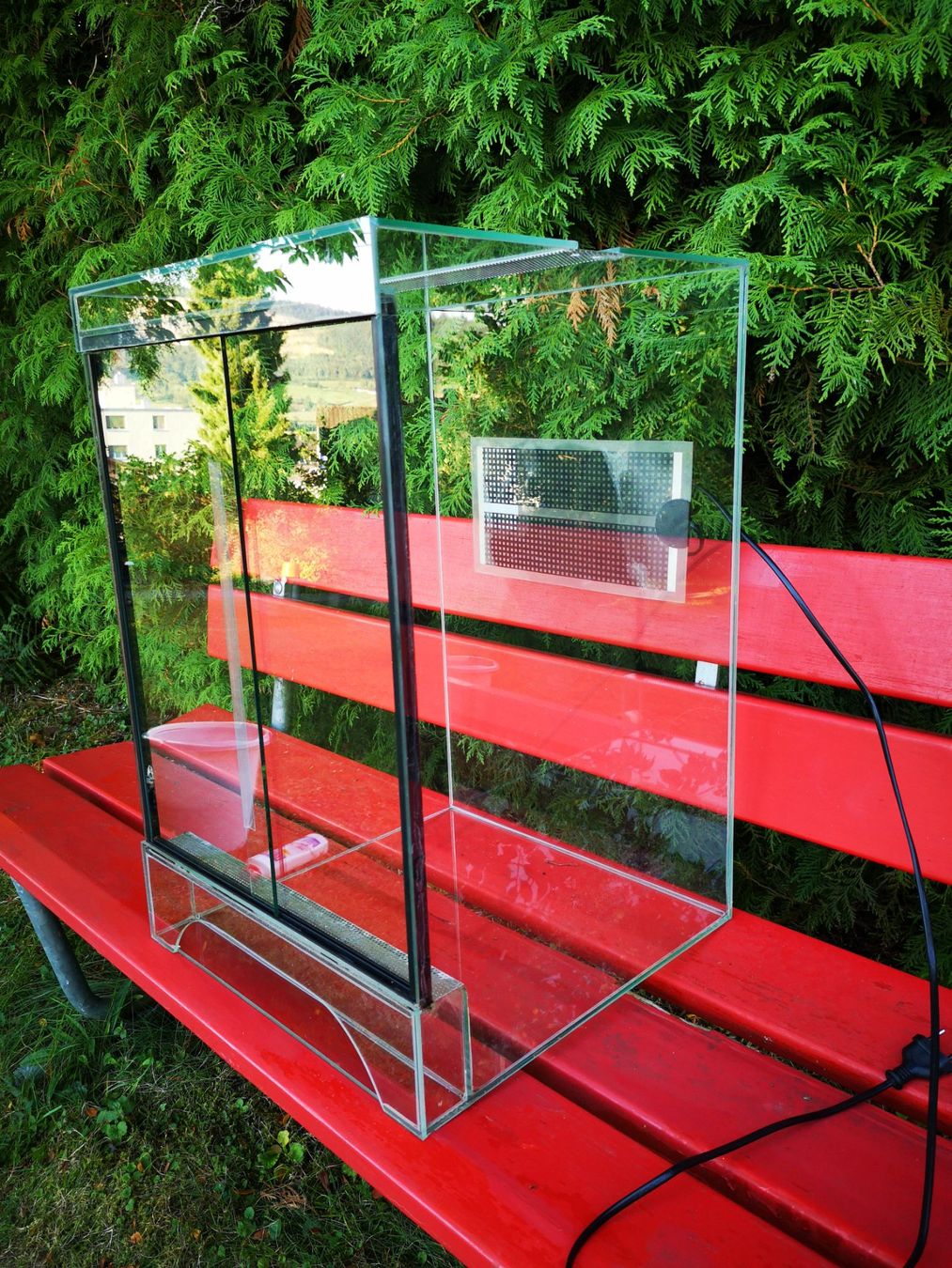 Terrario: Terrarium 60x40x40cm – Usato da Wangen b. Olten venduto da mii84