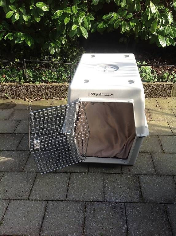 Käfige, Transport & Sicherheit: Hunde Boxe – Gebraucht aus Worblaufen von Jarnold 2