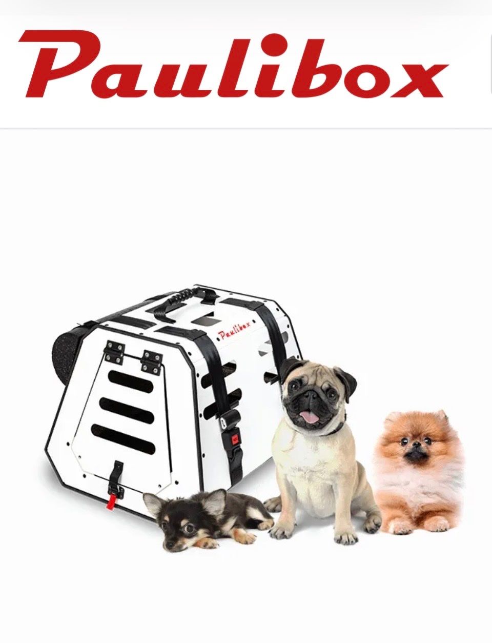 Gabbie, trasporto & Sicurezza: Paulibox. Aluhundebox. – Nuovo (secondo la descrizione) da rheinfelden venduto da Rtriumph 4