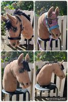Hobbyhorse braun mit Zaumzeug und Rennmaske guter Zustand