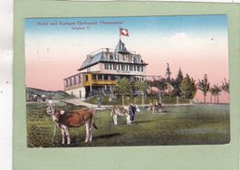Hotel und Kurhaus Hochwacht Pfannenstiel Kühe