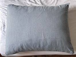 Maxi coussin Zara + 2 taies