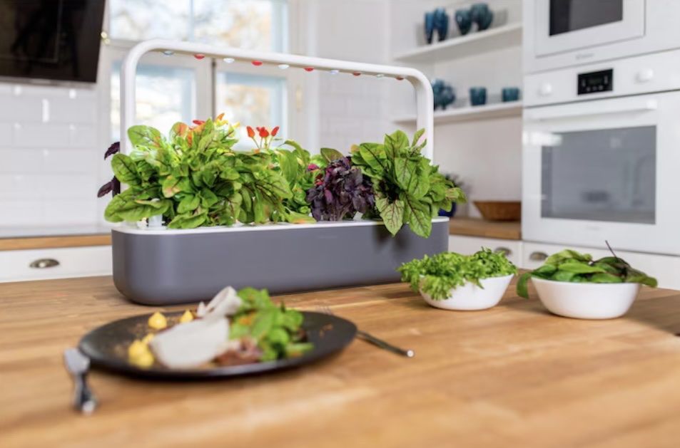 Altro: Click and Grow Smart Garden 9 – Nuovo (secondo la descrizione) da Ostermundigen venduto da Ania.I 2