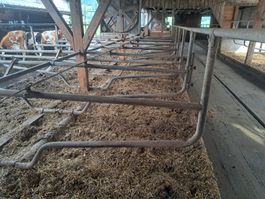 Liegeboxenbügel