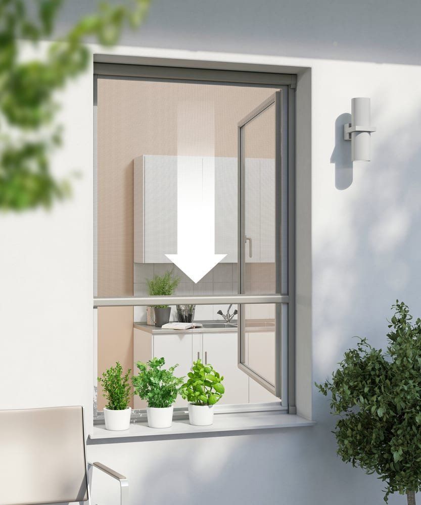 Finestre: Windhager Fensterrollo PLUS – Nuovo (secondo la descrizione) da Unterengstringen venduto da hausraus