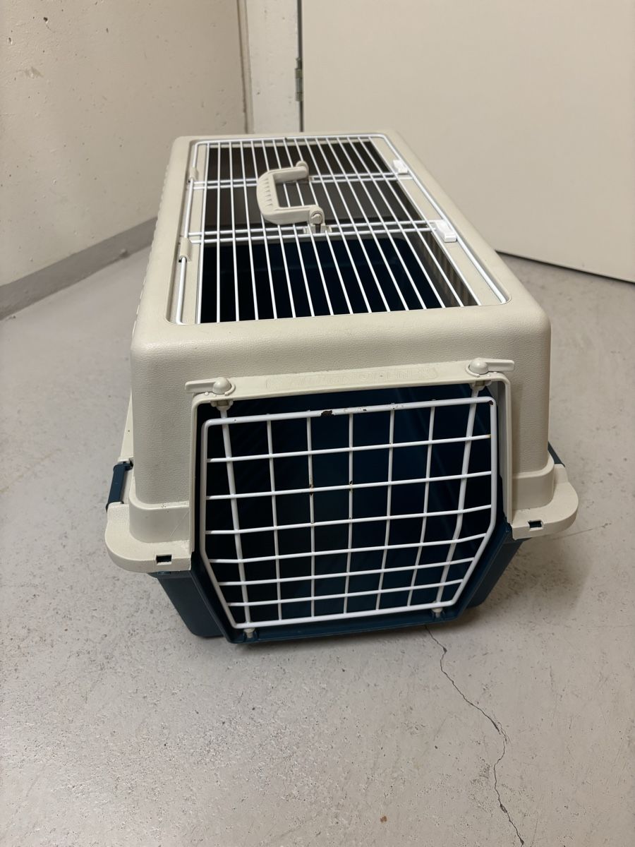 Käfige, Transport & Sicherheit: Katzentransportboxe – Gebraucht aus Recherswil von jae_cfb6