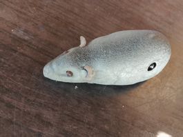 Blechspielzeug  Antik,  Blechmaus Maus Aufziehmaus
