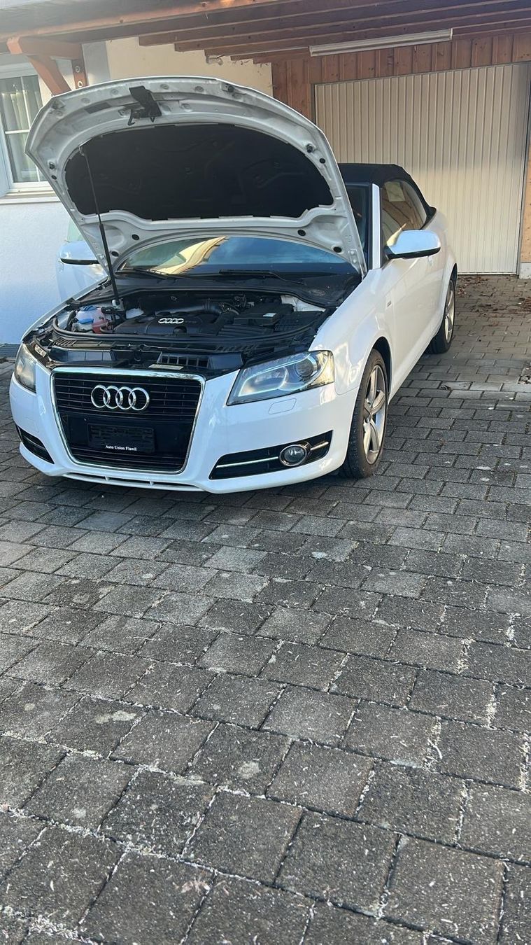 Audi Automobili: Audi A3 Cabriolet weiss – Usato da Züberwangen venduto da fhui 2