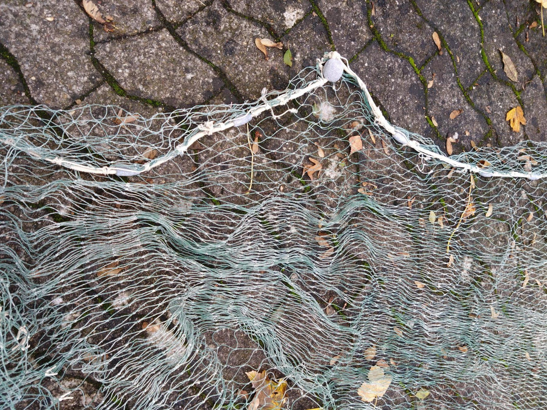 Tutte le decorazioni: Trappnetzwand Dekor – Usato da Kradolf venduto da oxanab 1