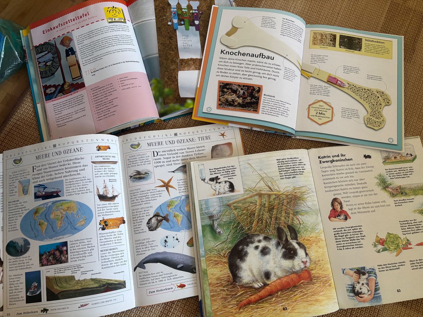 Libri: Bücherpaket Basteln Kinderlexikon – Usato da Thun venduto da Melpi2010 1