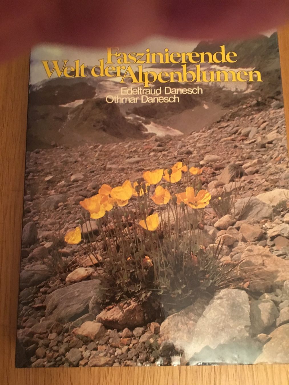 Bücher: Alpenblumen – Gebraucht aus Richterswil von solalex