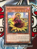 Yu-Gi-Oh Mariña, Prinzessin