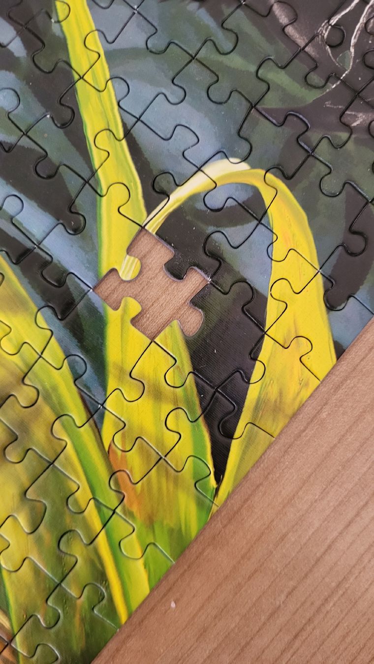 Clementoni Puzzle: Puzzle Papagei 1000 Teile - 1Teil fehlt – Usato da Rüti ZH venduto da clady01 2