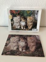 Süsses Katzenpuzzle, 36 Teile - Ideal für kleine Tierfreunde