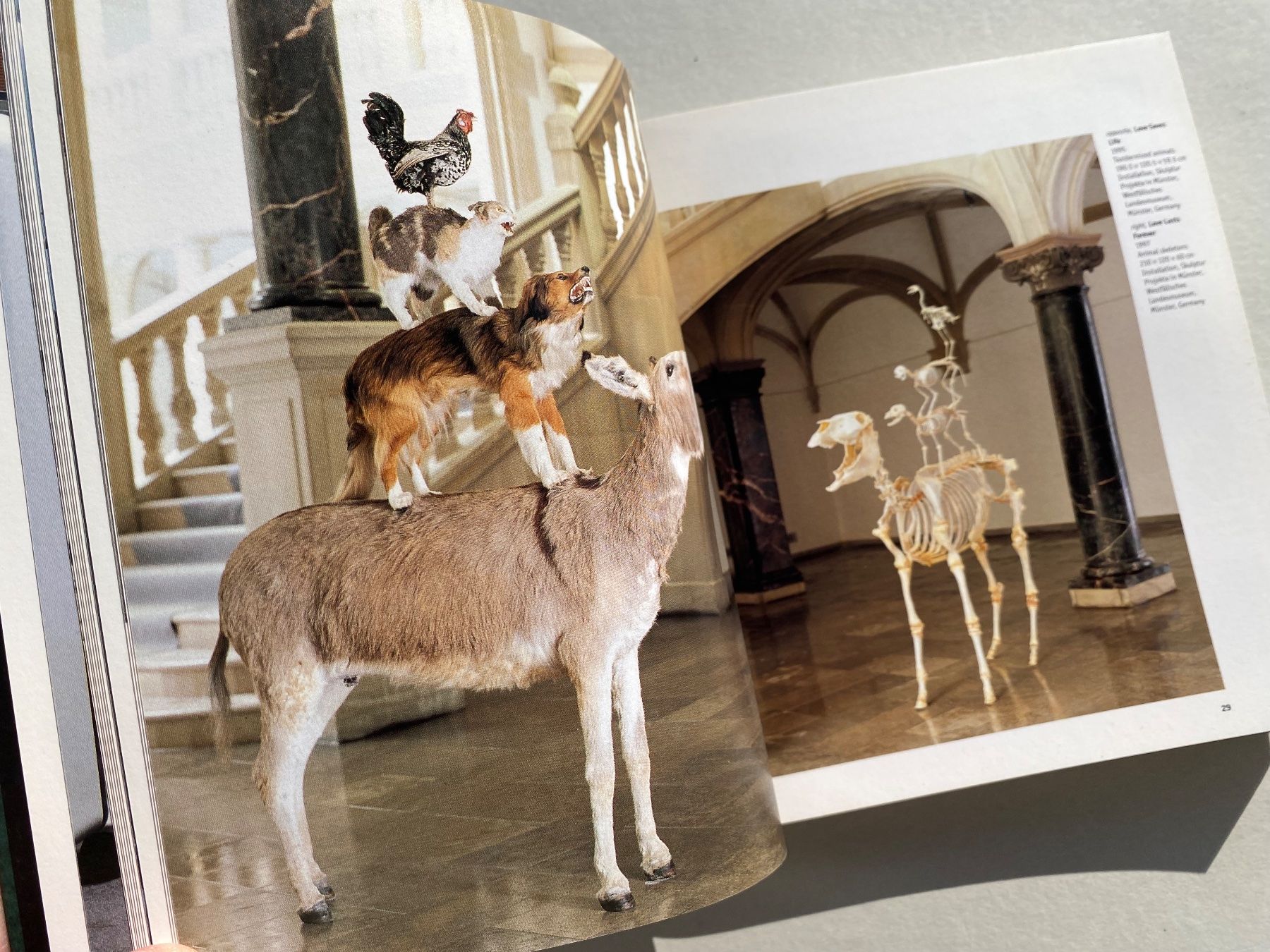 Libri: Maurizio Cattelan Phaidon Kunstbuch – Usato da Zürich venduto da lesgarcons 3