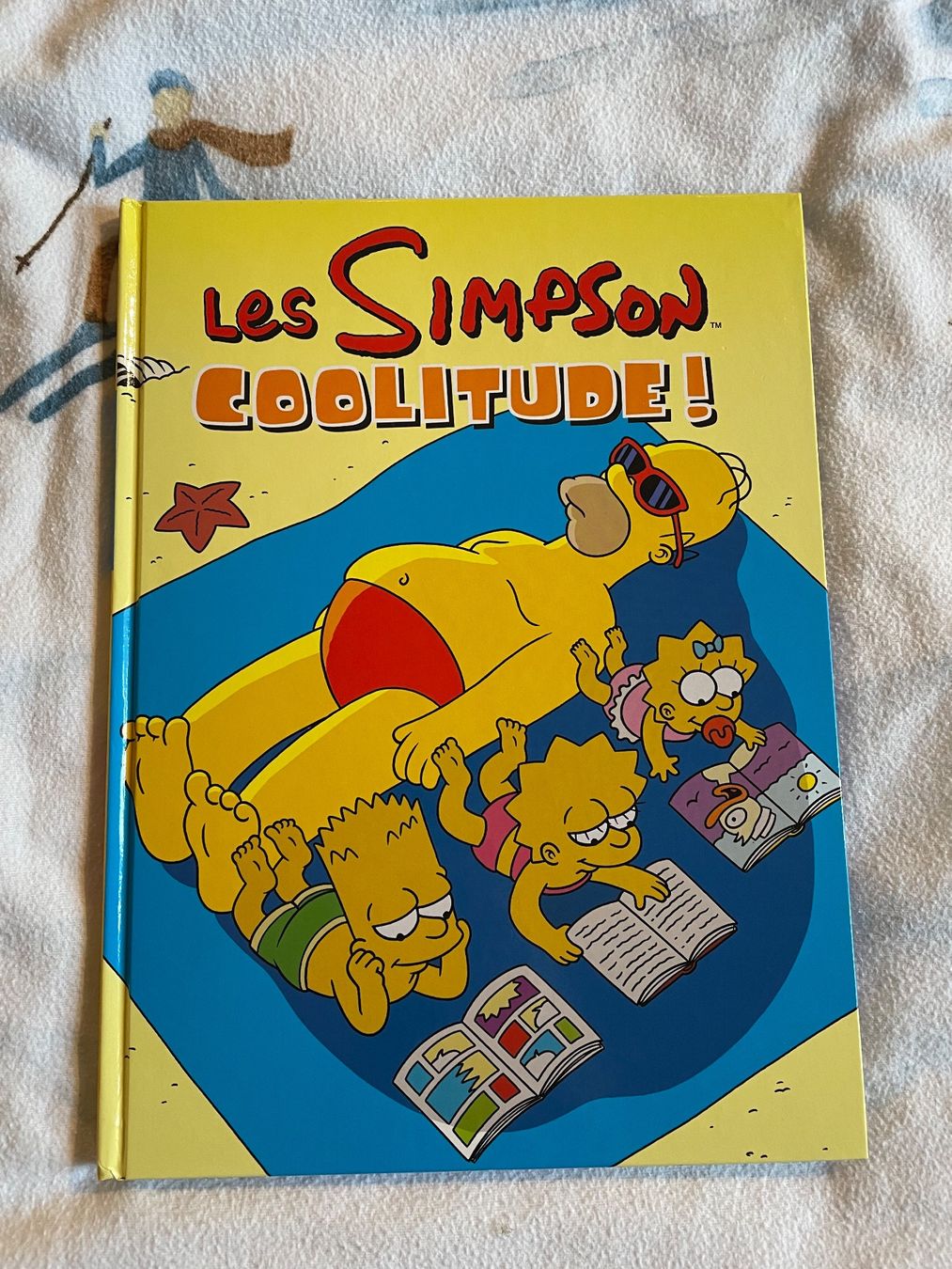 Fumetti: Les Simpson COOLITUDE ! – Usato da Leytron venduto da acb_00