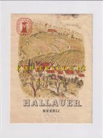 Etikette für Wein - Hallauer Beerli 1966 (gelocht) /bd