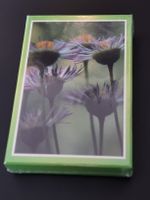 Schreibkarten Set / 12 Stück (neu / originalverpackt)