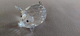Swarovski Schwein Gross