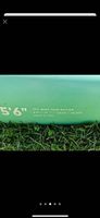 Fanatic Sky Wing TE foil board 5'6