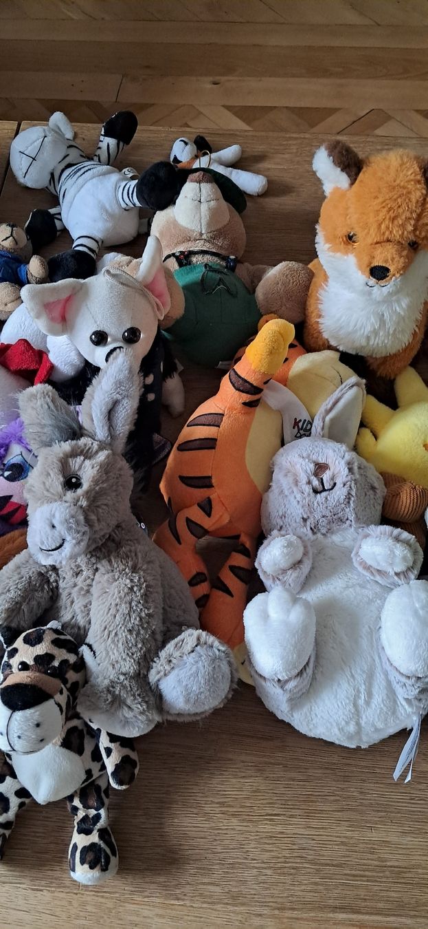 Giocattoli: Plüschtiere – Usato da Nidau venduto da Darkpooh 4